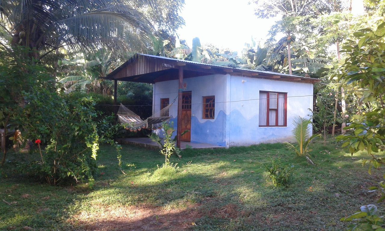 Rosa'S Lake Cabins Mérida Εξωτερικό φωτογραφία